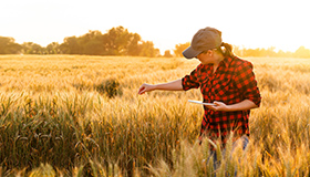 A woman standing in the center of a field looking at an iPad.